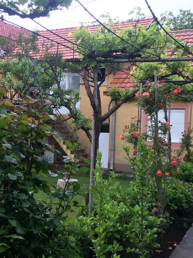 Апартаменты Apartman Lili Цетине-6