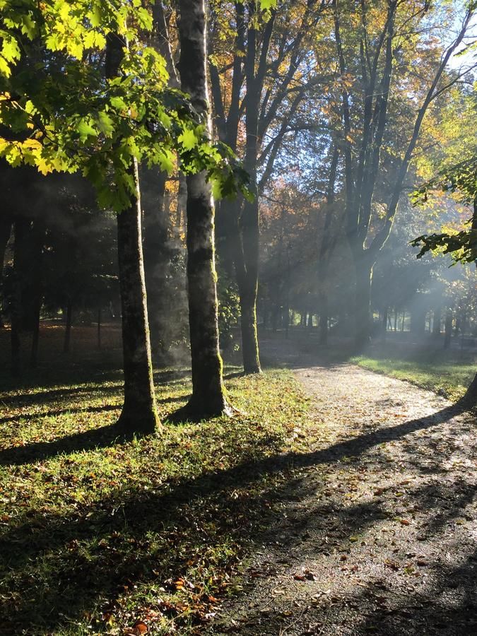 Апартаменты Apartman Lili Цетине-37