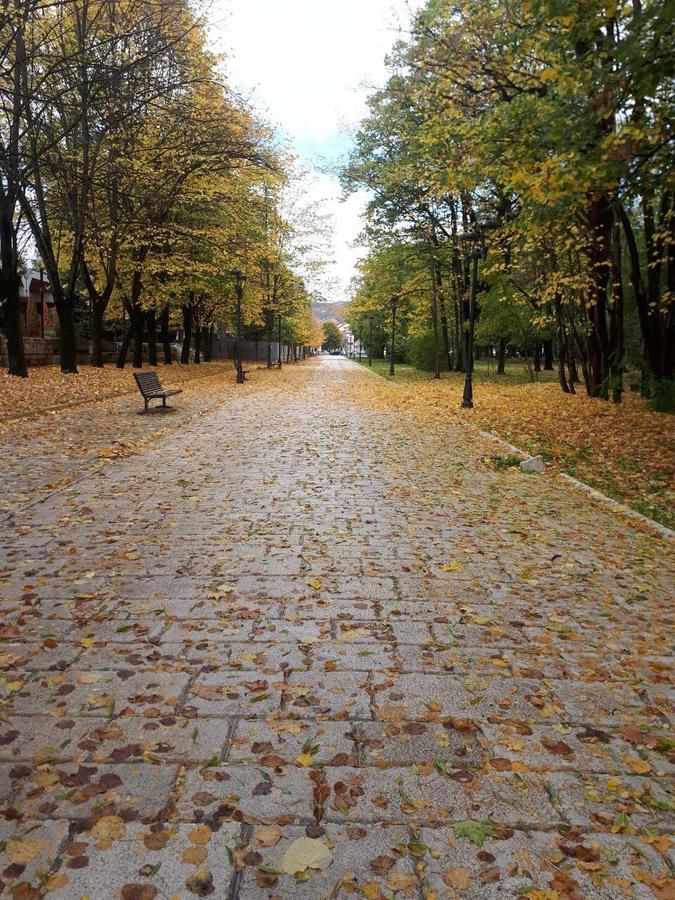 Апартаменты Apartman Lili Цетине-38