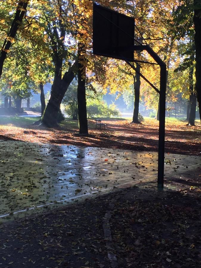 Апартаменты Apartman Lili Цетине-40