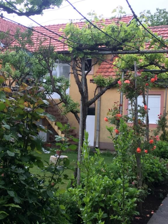 Апартаменты Apartman Lili Цетине-73