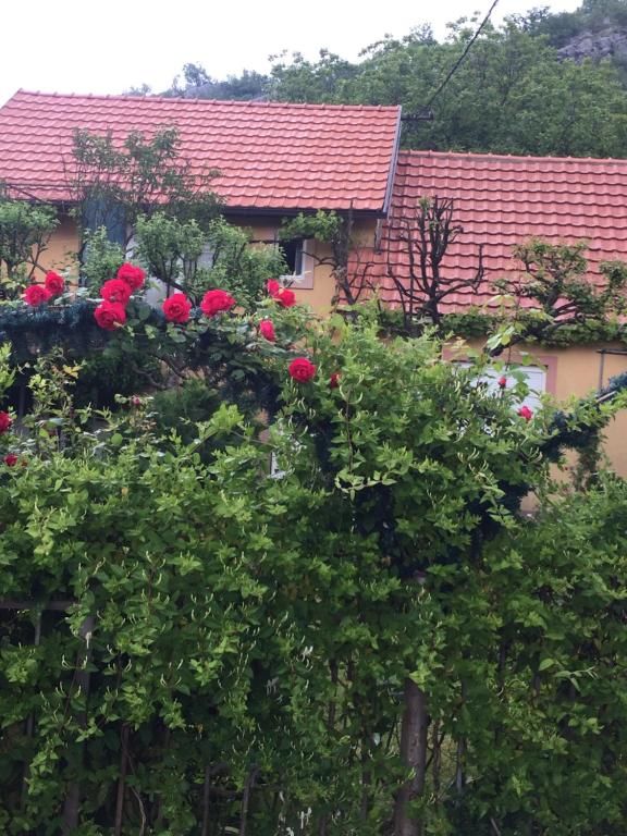 Апартаменты Apartman Lili Цетине-76