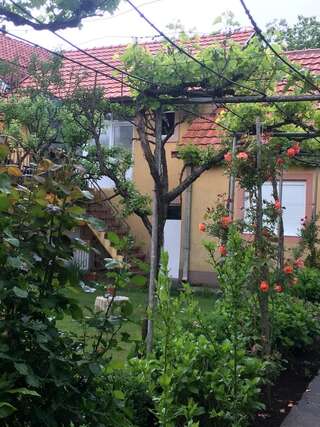 Апартаменты Apartman Lili Цетине Апартаменты-3