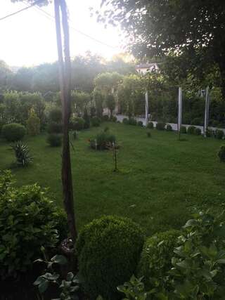 Апартаменты Apartman Lili Цетине Апартаменты-31