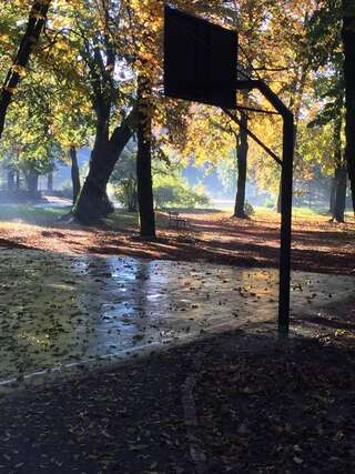 Апартаменты Apartman Lili Цетине Апартаменты-37