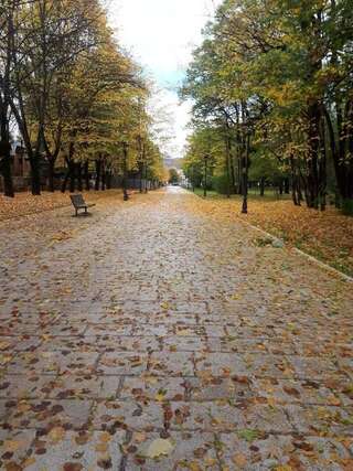 Апартаменты Apartman Lili Цетине Апартаменты-50