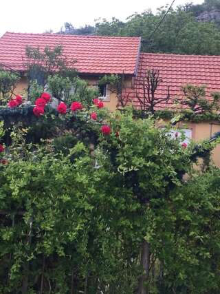 Апартаменты Apartman Lili Цетине Апартаменты-73