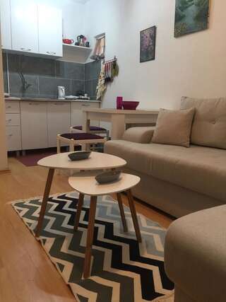 Апартаменты Apartman Lili Цетине Апартаменты-8