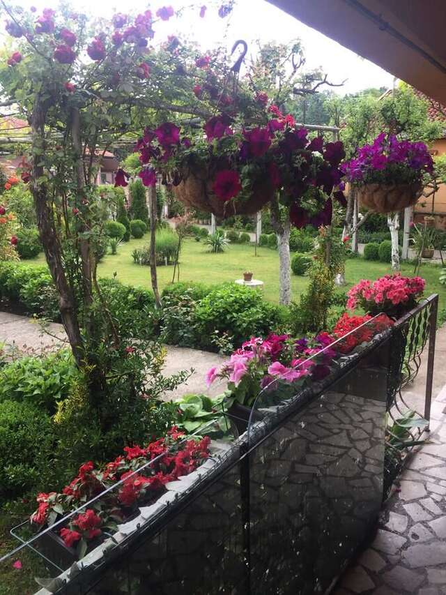 Апартаменты Apartman Lili Цетине-26