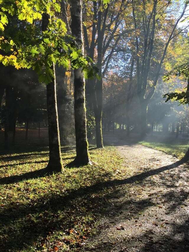 Апартаменты Apartman Lili Цетине-36