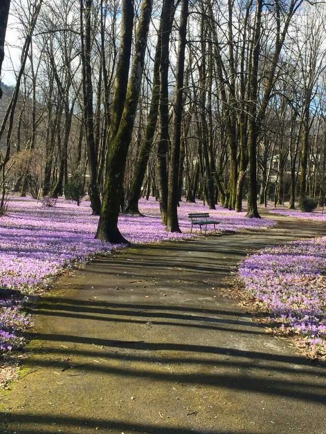 Апартаменты Apartman Lili Цетине-38