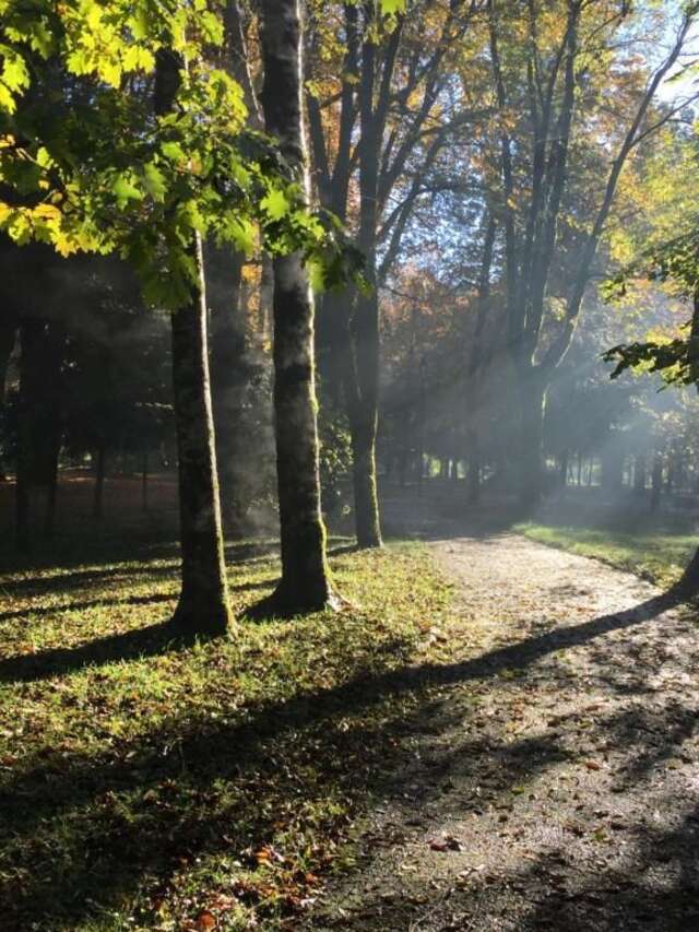 Апартаменты Apartman Lili Цетине-51